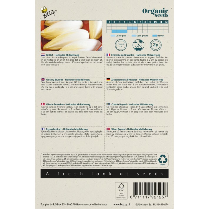 Buzzy® Chicorée de Bruxelles Hollandse Middelvroeg(BIO)