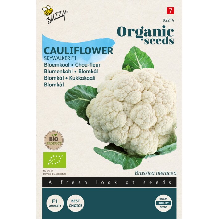 Buzzy® Organic Chou fleur Goodman F1 (BIO)
