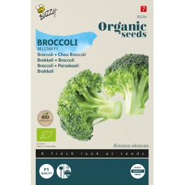 Biologische Broccoli Belstar F1