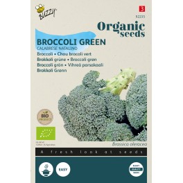 Biologische Broccoli Calabrese natalino