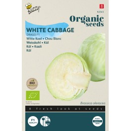 Biologische Witte Kool Drago F1