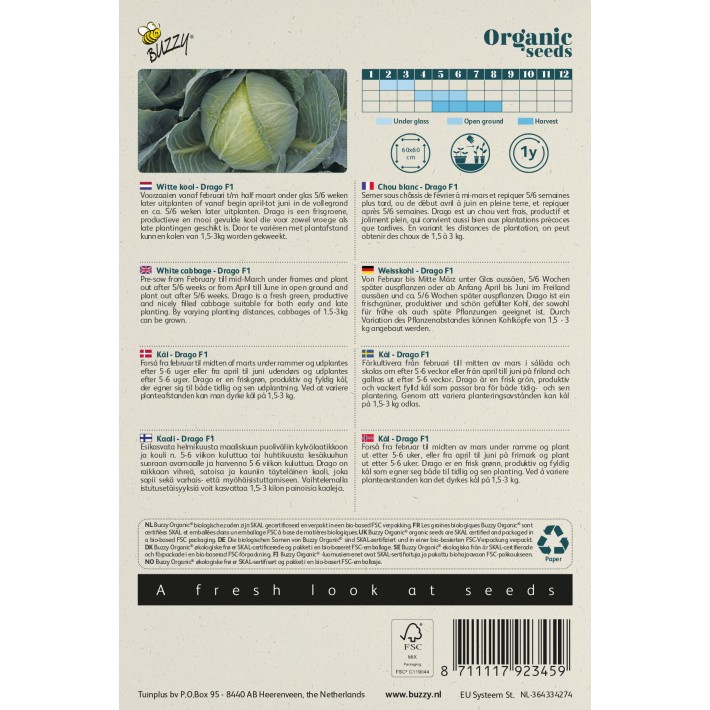 Buzzy® Organic Chou Blanc Drago F1 (BIO)