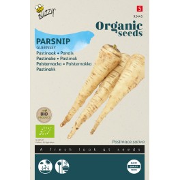 Biologische Pastinaak Guernsey