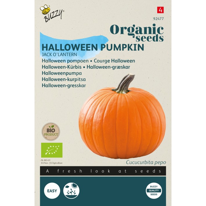 Buzzy® Organic Potiron Jack O' Lantern  (BIO)