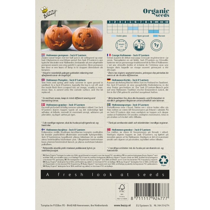 Buzzy® Organic Potiron Jack O' Lantern  (BIO)