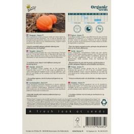 Biologische Pompoen Amoro F1