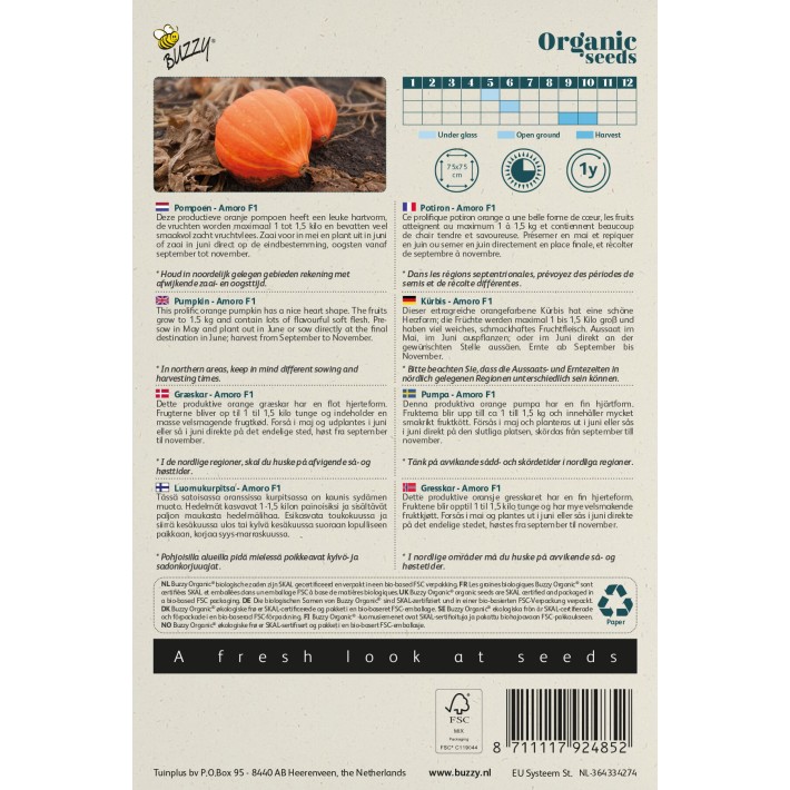 Buzzy® Organic Pumpkin Amoro F1  (BIO)