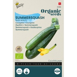 Biologische Courgette Black Beauty