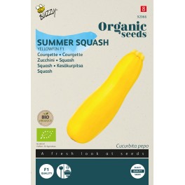 Biologische Courgette Yellowfin F1