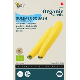 Biologische Courgette Ola Gabriella F1
