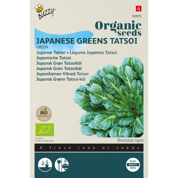 Buzzy® Organic Légume japonais Tatsoi (BIO)