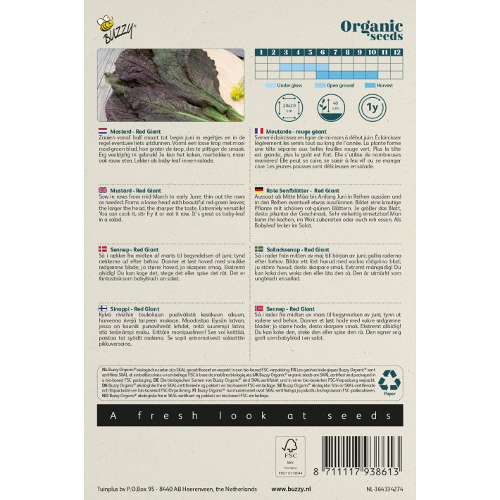 Buzzy® Organic Moutarde Red Giant (BIO)