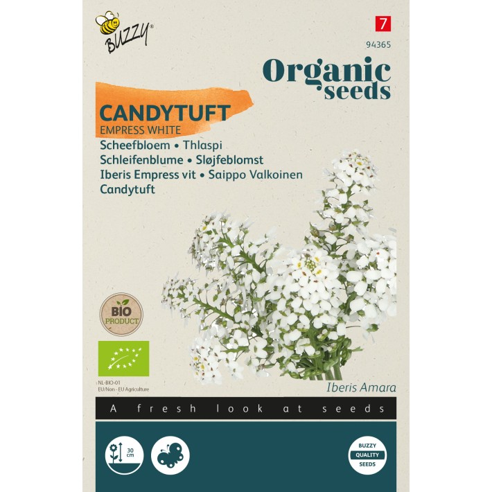 Buzzy® Organic Candytuft Empress white