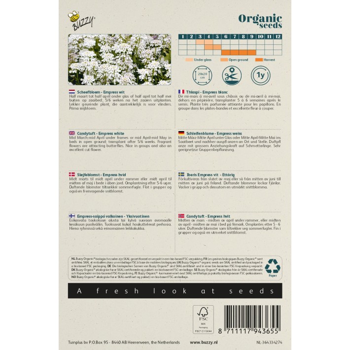 Buzzy® Organic Candytuft Empress white