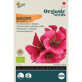 Biologische Malope, Trechtermalva Red Queen