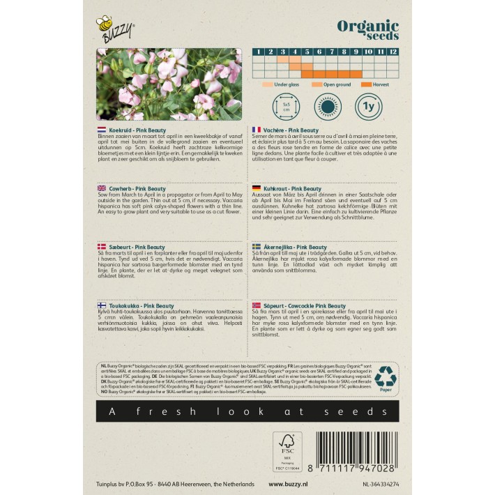 Buzzy® Organic Saponaria, Cowherb Pink Beauty (BIO)