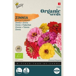 Biologische Zinnia dubbele Dahliabloemige mix