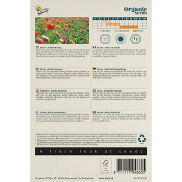 Biologische Zinnia dubbele Dahliabloemige mix
