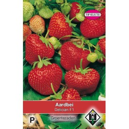 Aardbei Delician F1