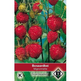 Bosaardbei Mignonnette