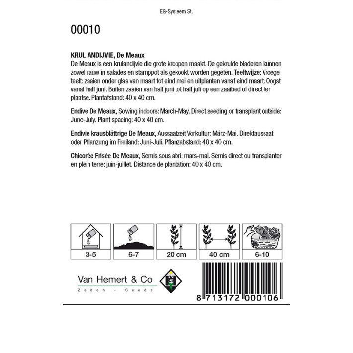 Krul Andijvie De Meaux