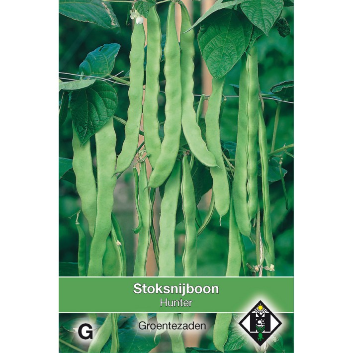 Stoksnijboon Hunter, 30 gr.