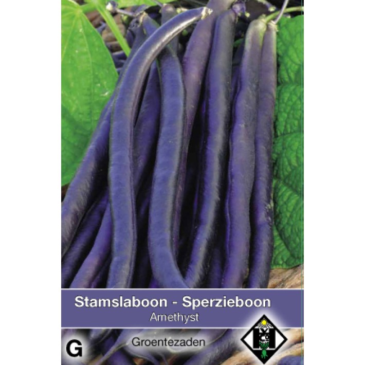 Stamslaboon Amethyst, 30 gr.