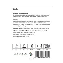 Tuinboon Monica, 60 gr.