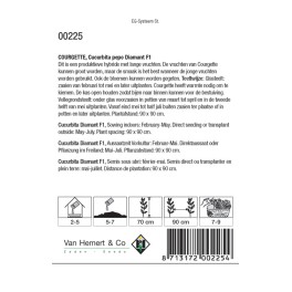 Courgette Diamant F1