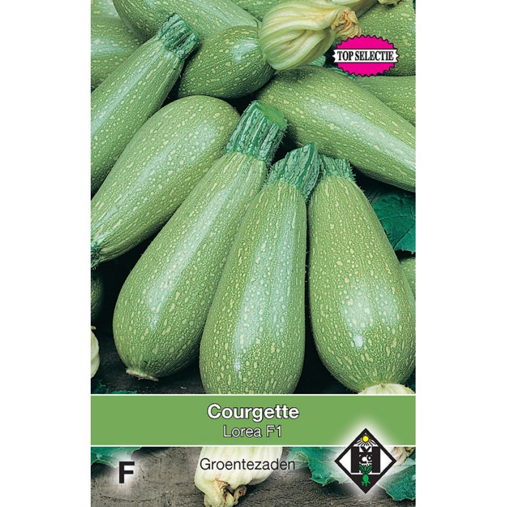 Courgette Lorea F1