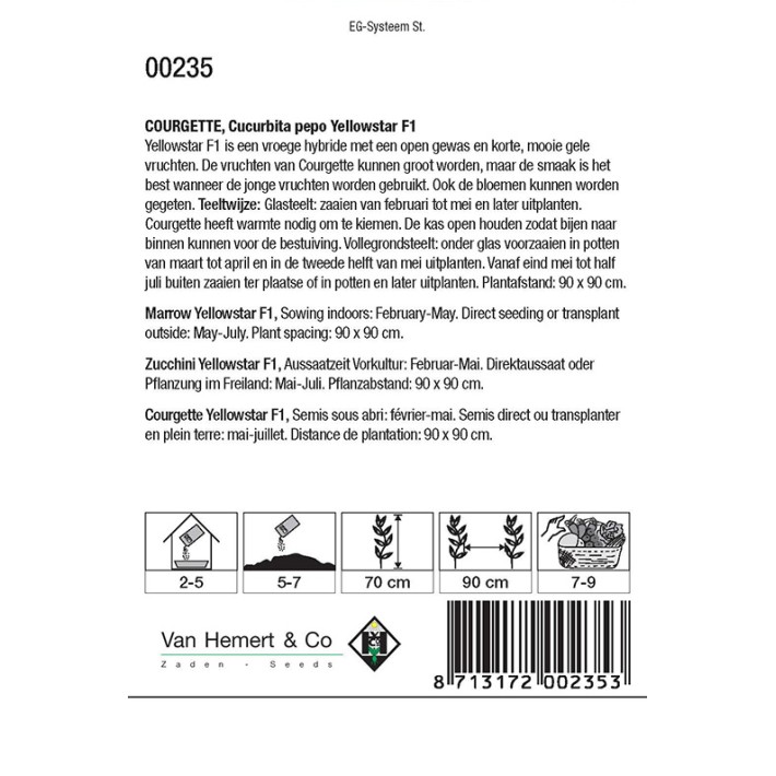 Courgette Yellowstar F1