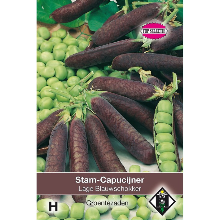 Stamcapucijner Lage Blauwschokker, 50 gr.