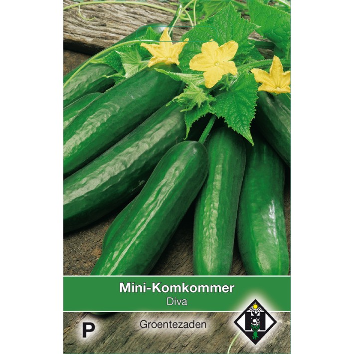 Mini Komkommer Diva