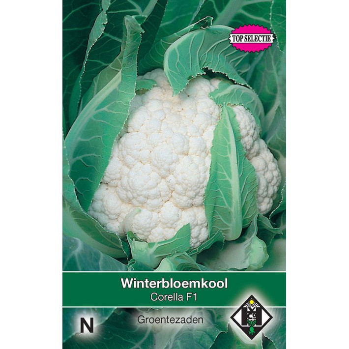 Winterbloemkool Corella F1