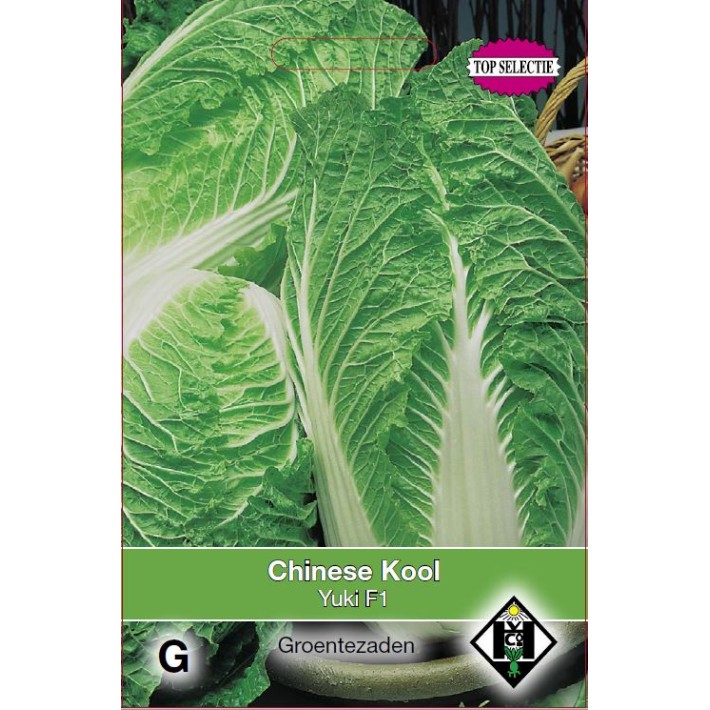 Chinese kool Yuki F1
