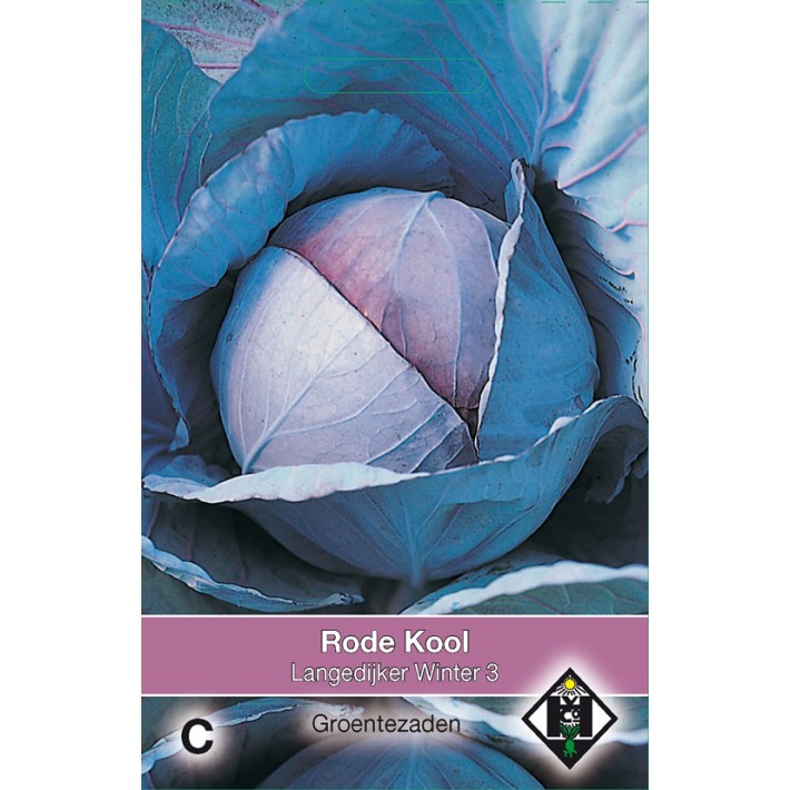 Rode kool Langedijker Winter  3