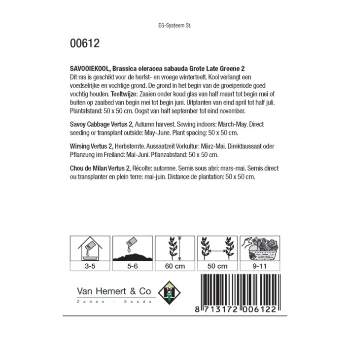 Savooie kool Grote Late Groene 2