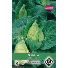 Spitskool Cape Horn F1