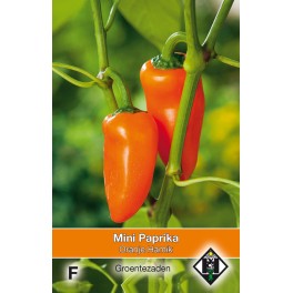 Mini Paprika oranje Hamik