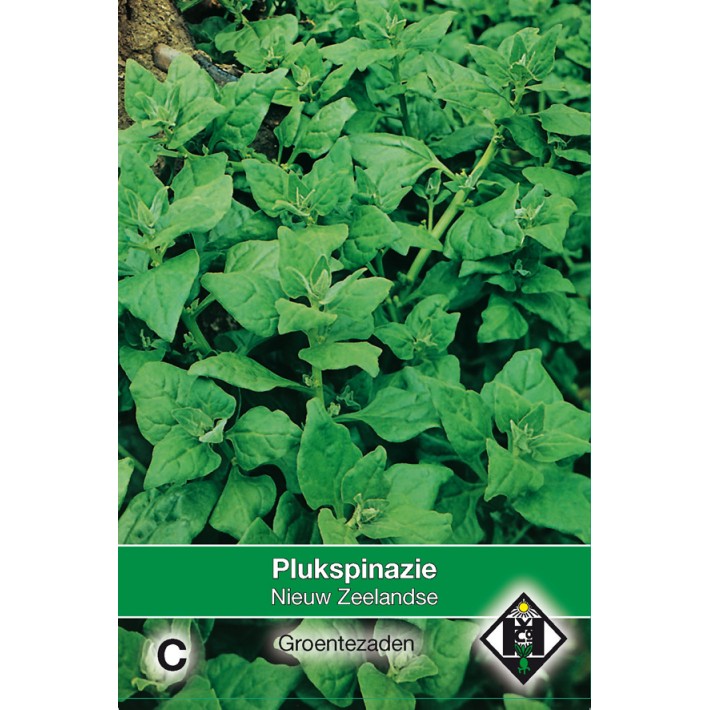 Plukspinazie Nieuw-Zeelandse