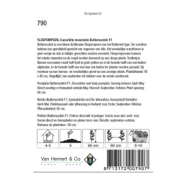 Flespompoen Butterscotch F1