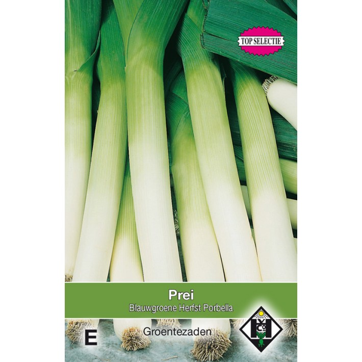 Prei Blauwgroene Herfst Porbella