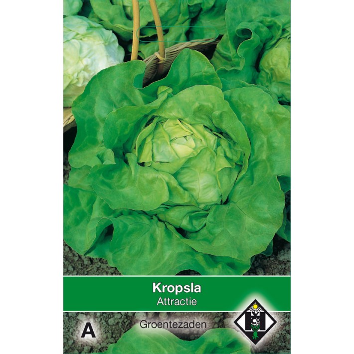 Kropsla Attractie