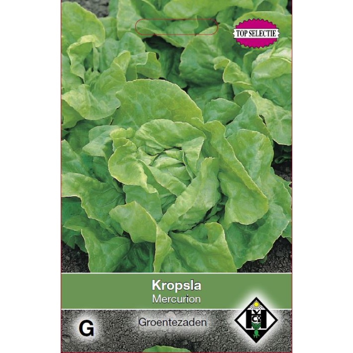 Kropsla Mercurion