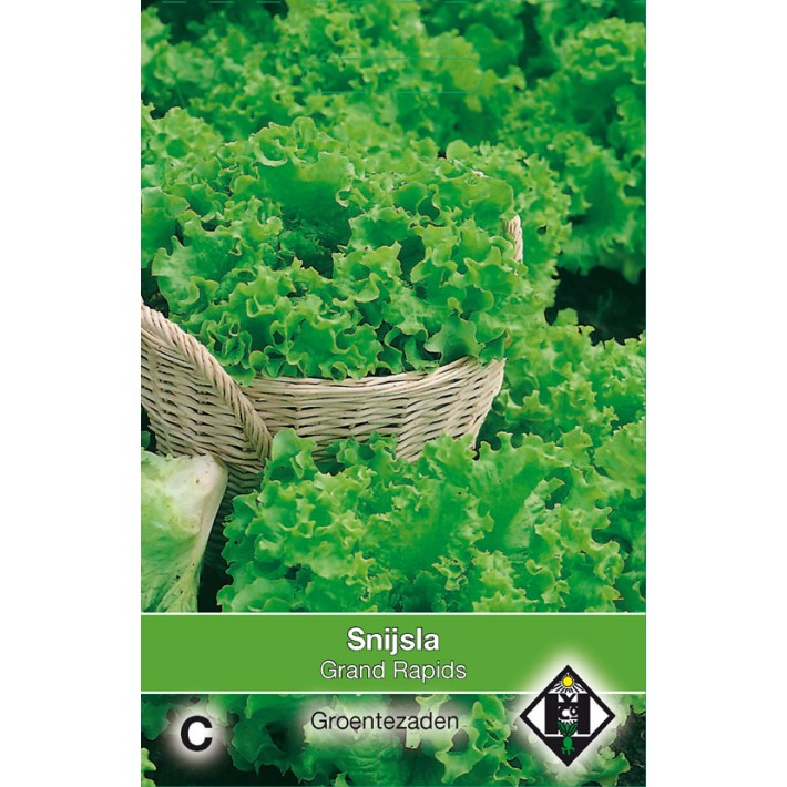 Snijsla Grand Rapids
