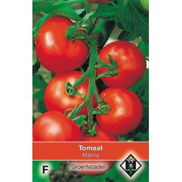 Tomaat Matina
