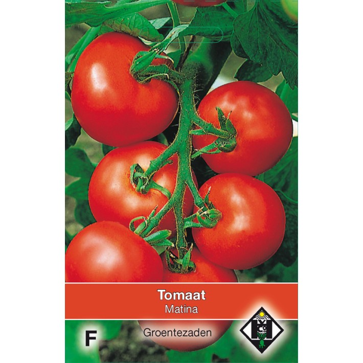 Tomaat Matina