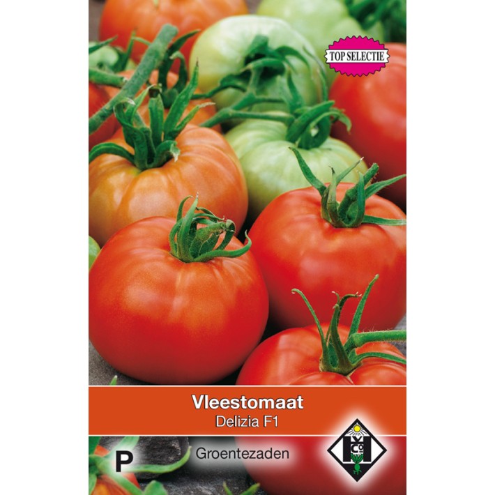 Vleesttomaat Delizia F1