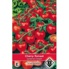 Tomaat Gardeners Delight