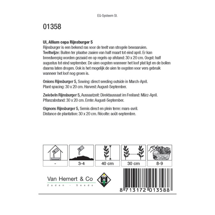 Zaaiui Rijnsburger 5